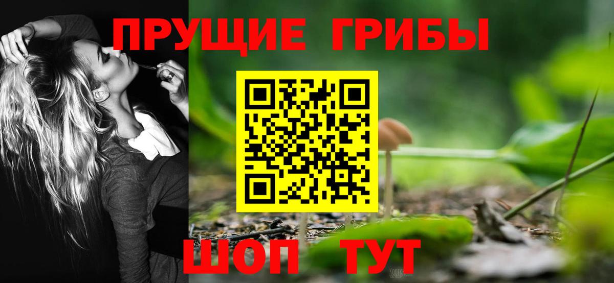 Луховицы  Галлюциногенные грибы Psilocybine cubensis  Вход с VPN  Псилоцибиновые грибы Psilocybine cubensis 